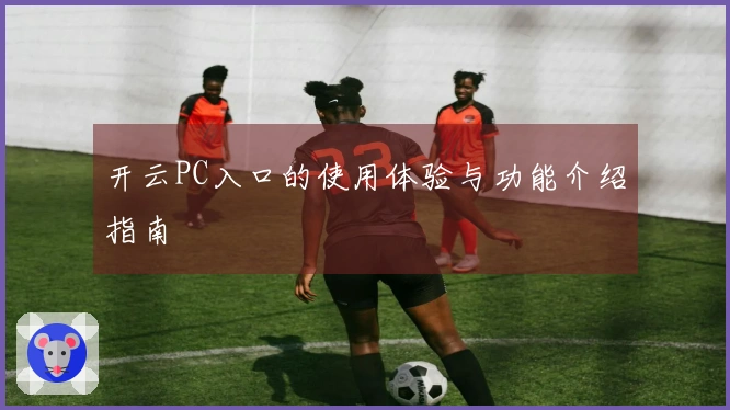 开云PC入口的使用体验与功能介绍指南