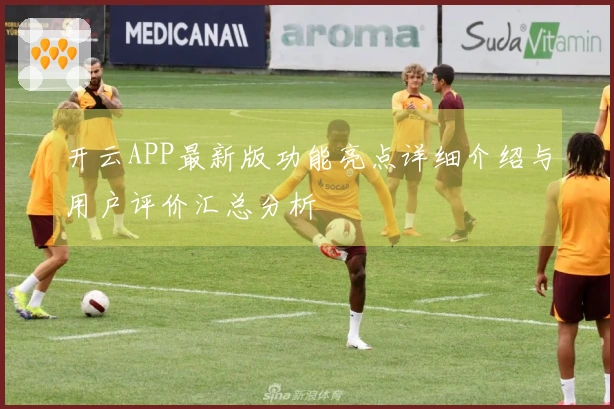 开云APP最新版功能亮点详细介绍与用户评价汇总分析
